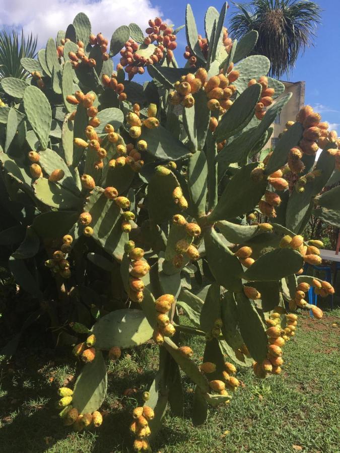 Il Giardino Degli Agrumi Caserta Ngoại thất bức ảnh