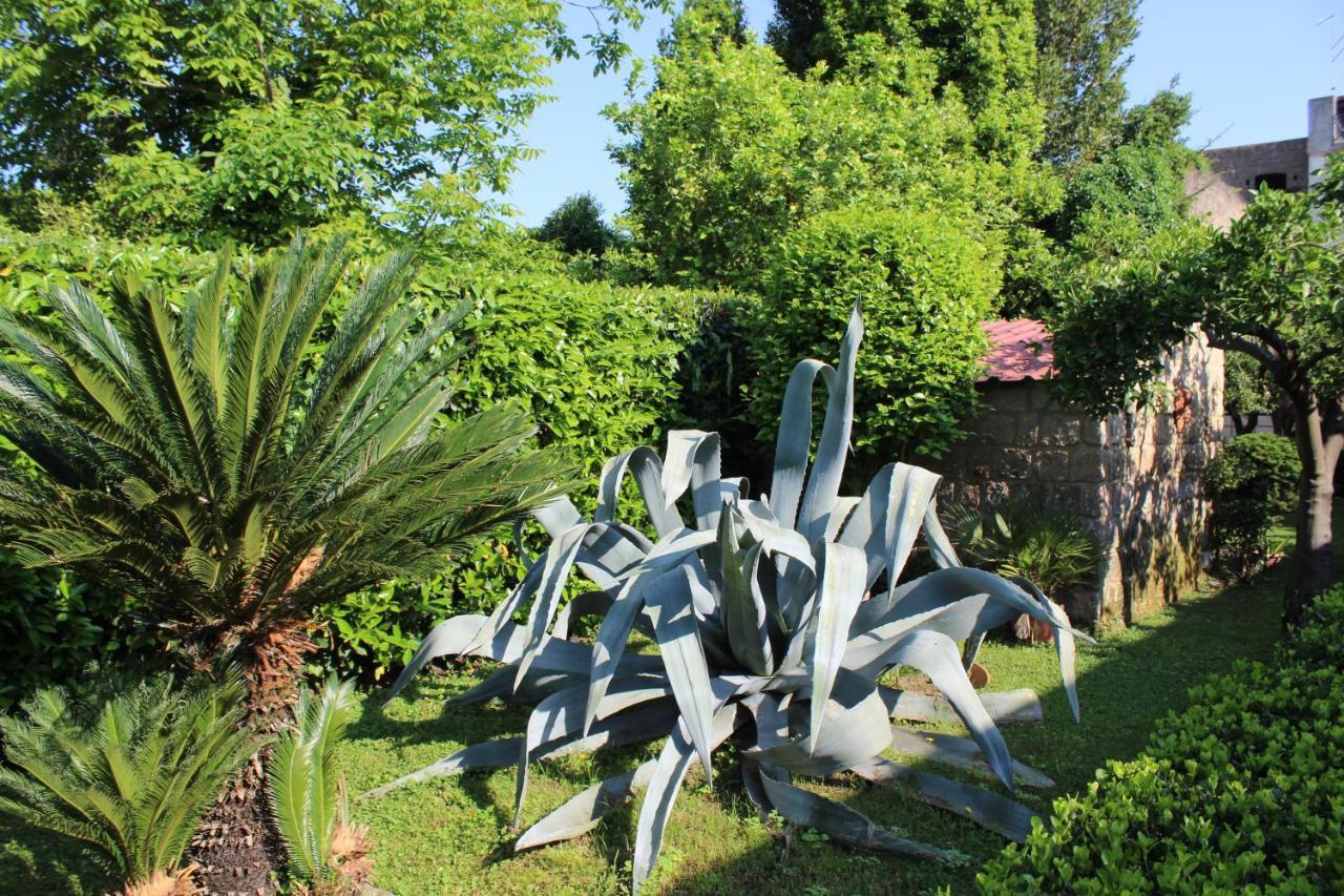 Il Giardino Degli Agrumi Caserta Ngoại thất bức ảnh