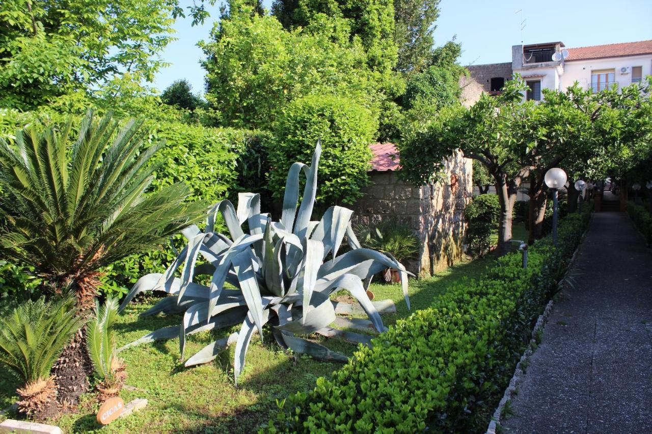 Il Giardino Degli Agrumi Caserta Ngoại thất bức ảnh