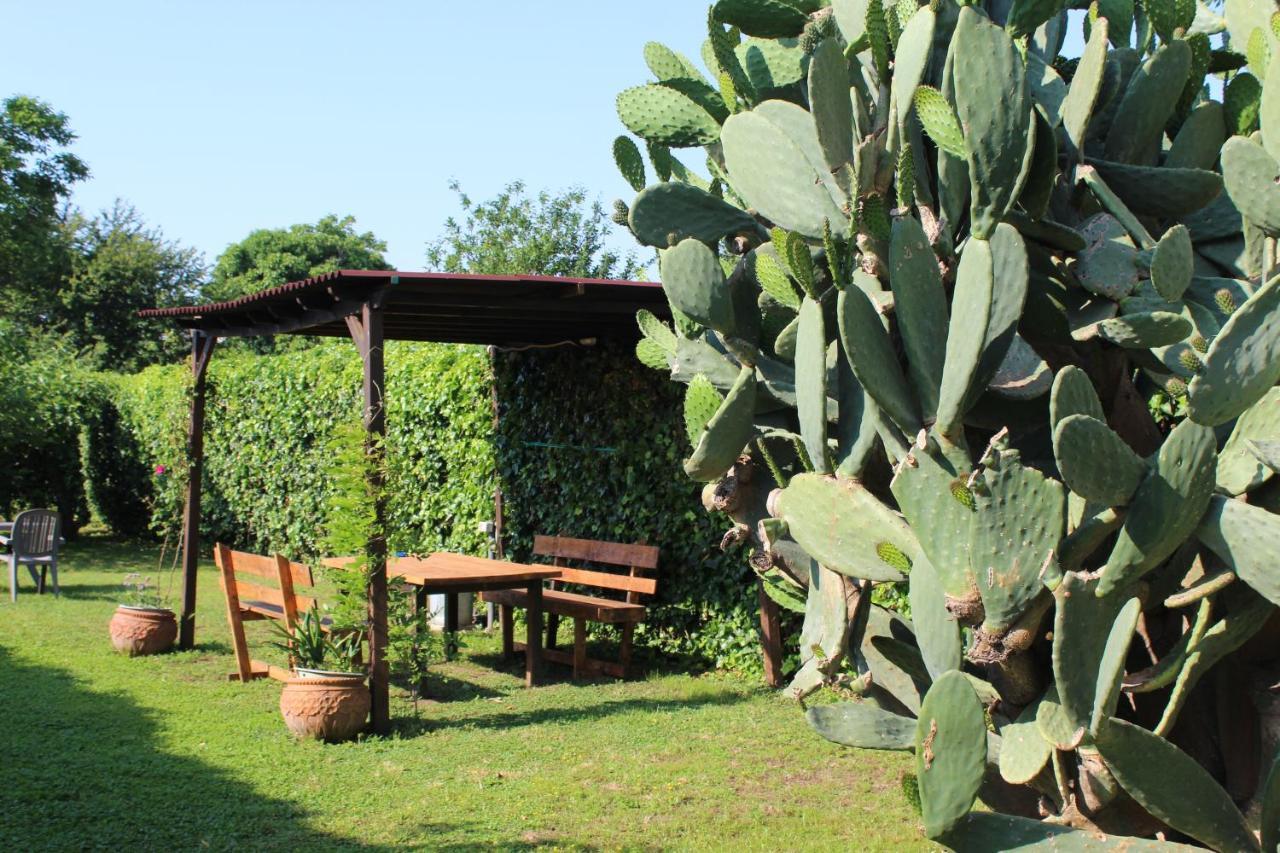Il Giardino Degli Agrumi Caserta Ngoại thất bức ảnh
