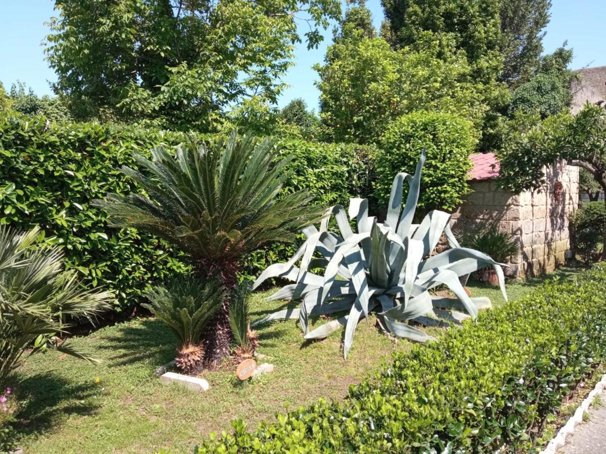Il Giardino Degli Agrumi Caserta Ngoại thất bức ảnh