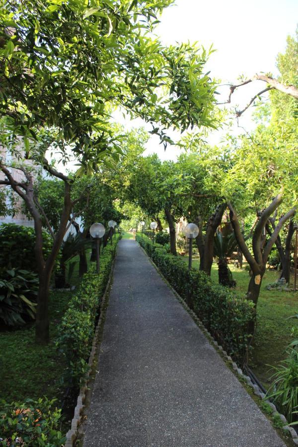Il Giardino Degli Agrumi Caserta Ngoại thất bức ảnh
