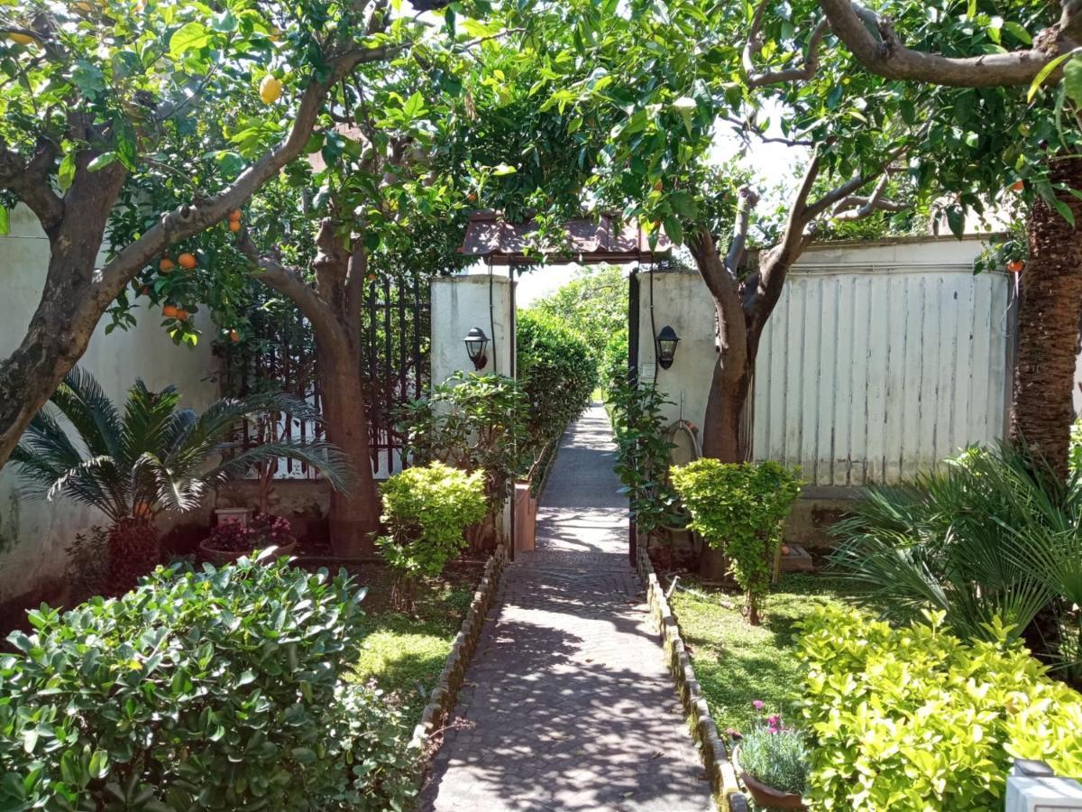 Il Giardino Degli Agrumi Caserta Ngoại thất bức ảnh