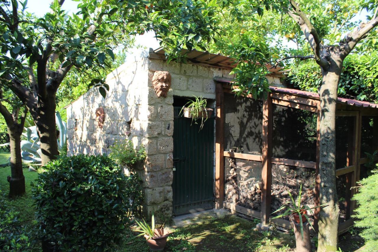 Il Giardino Degli Agrumi Caserta Ngoại thất bức ảnh