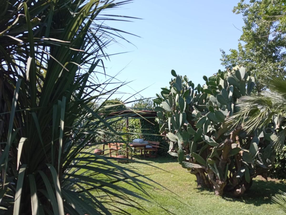 Il Giardino Degli Agrumi Caserta Ngoại thất bức ảnh