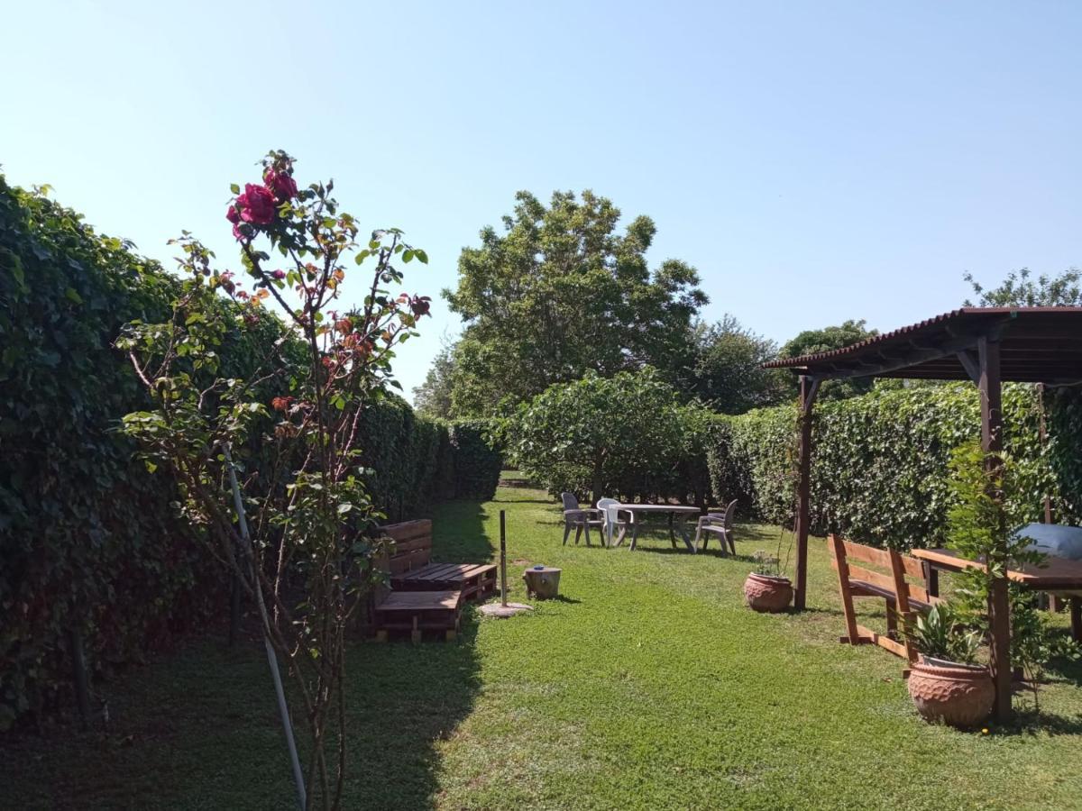 Il Giardino Degli Agrumi Caserta Ngoại thất bức ảnh