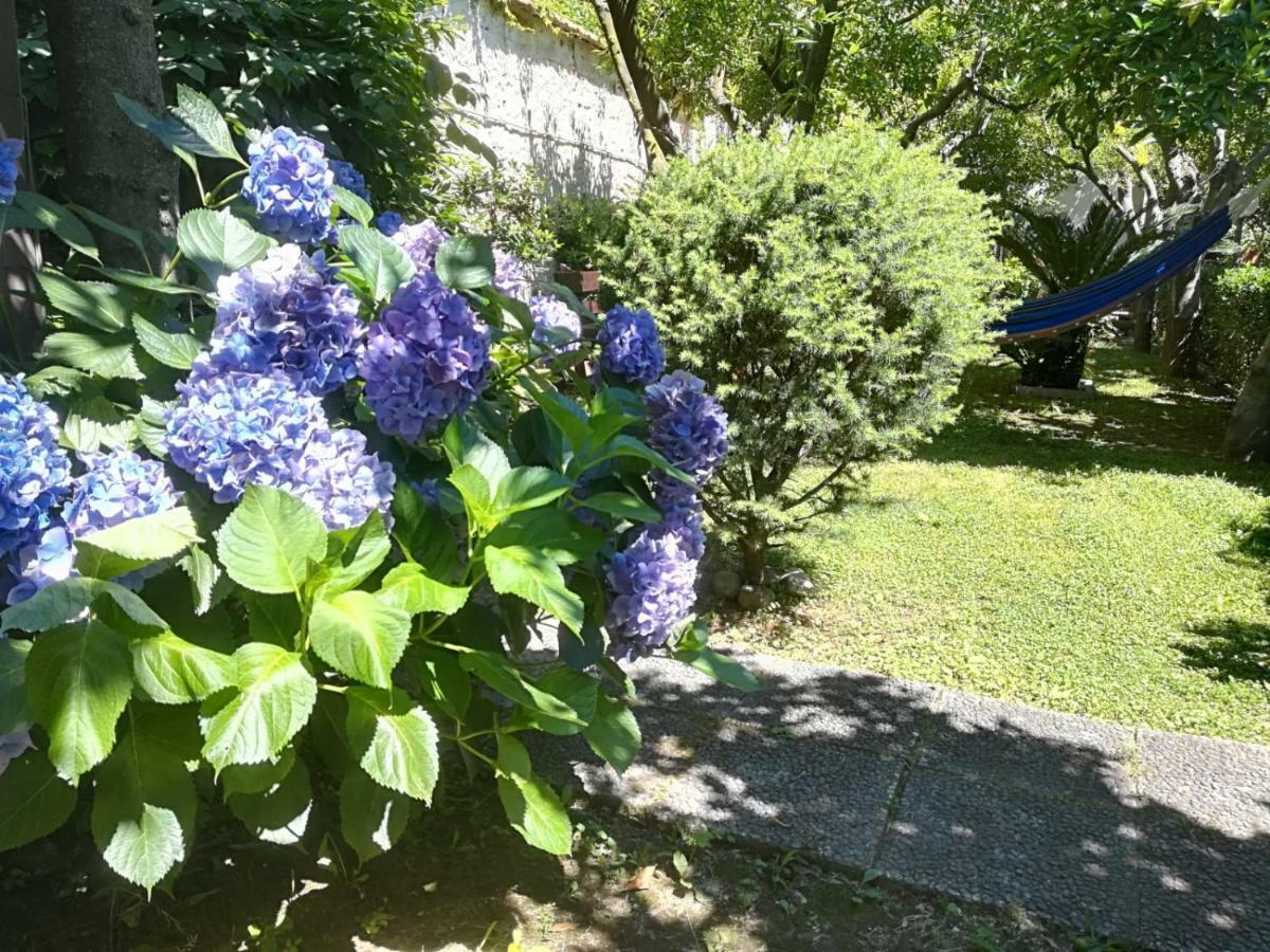 Il Giardino Degli Agrumi Caserta Ngoại thất bức ảnh