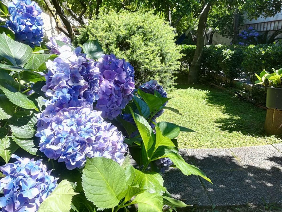 Il Giardino Degli Agrumi Caserta Ngoại thất bức ảnh